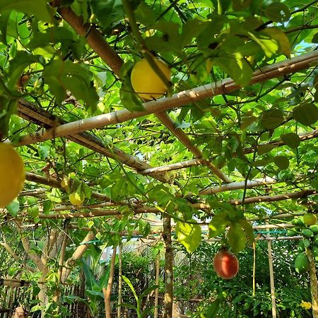Anan Boutique Bungalows With Private Kitchen 富国 外观 照片