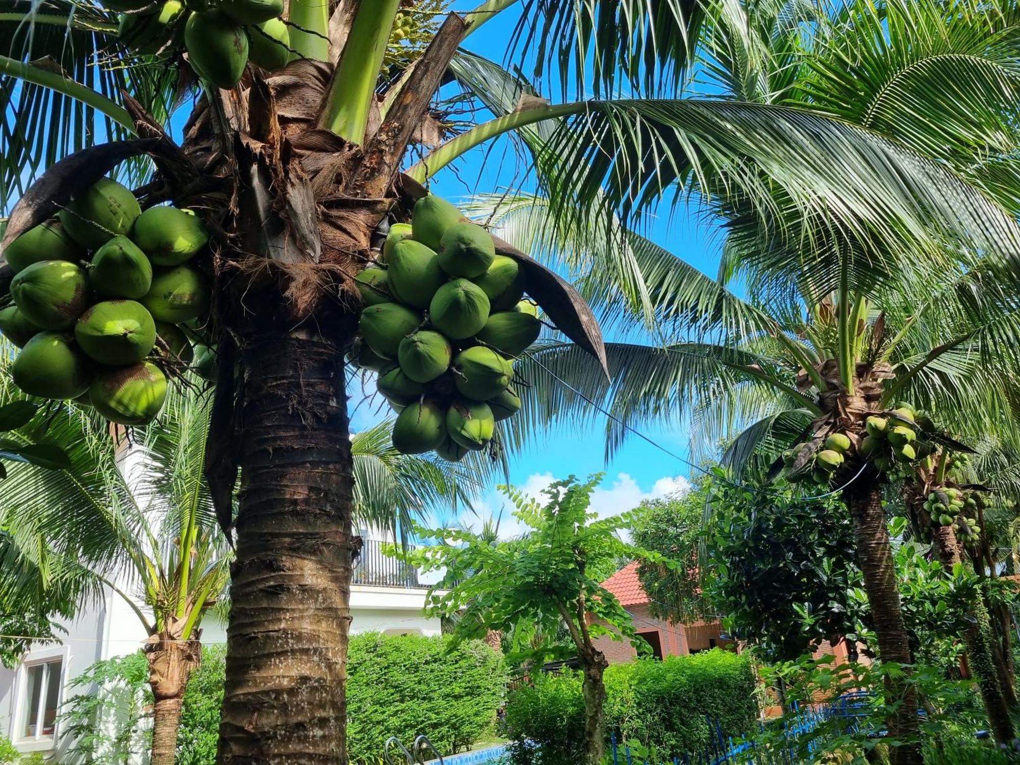 Anan Boutique Bungalows With Private Kitchen 富国 外观 照片